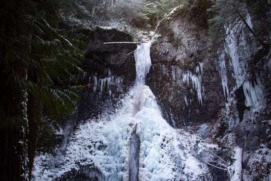 Marymere Falls - Olympic National Park