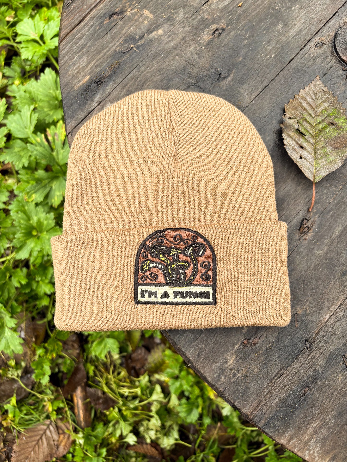 I'm A Fungi - Port & Company Beanie