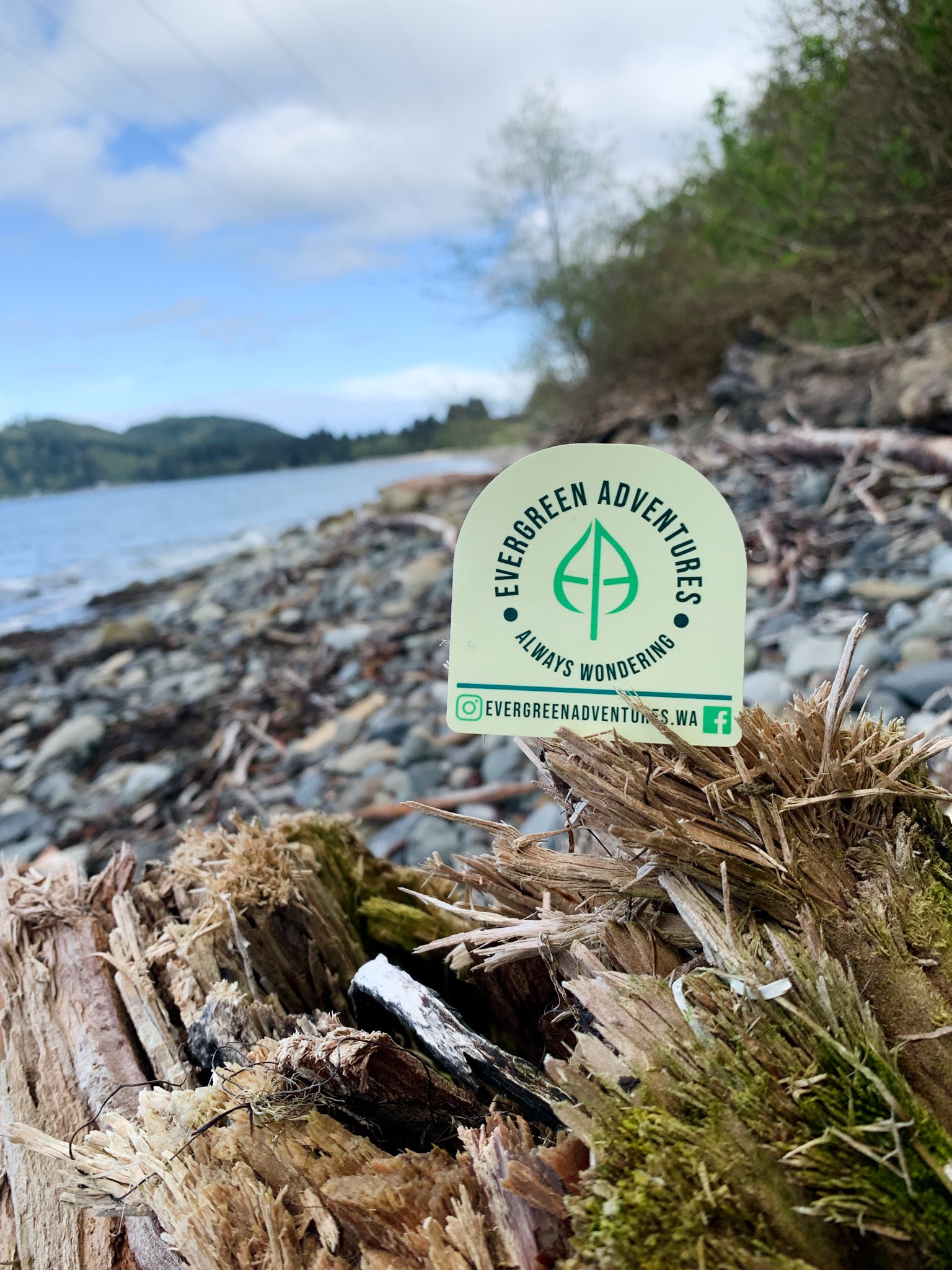 Evergreen Adeventures logo sticker sitting on driftwood at beach