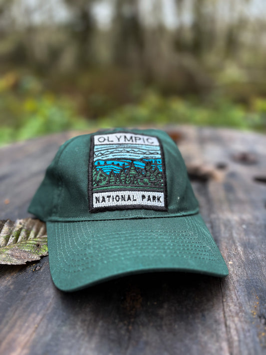 Olympic National Park - Port & Company Cap