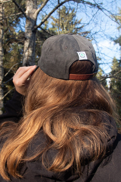 Raccoon - Adams Cap