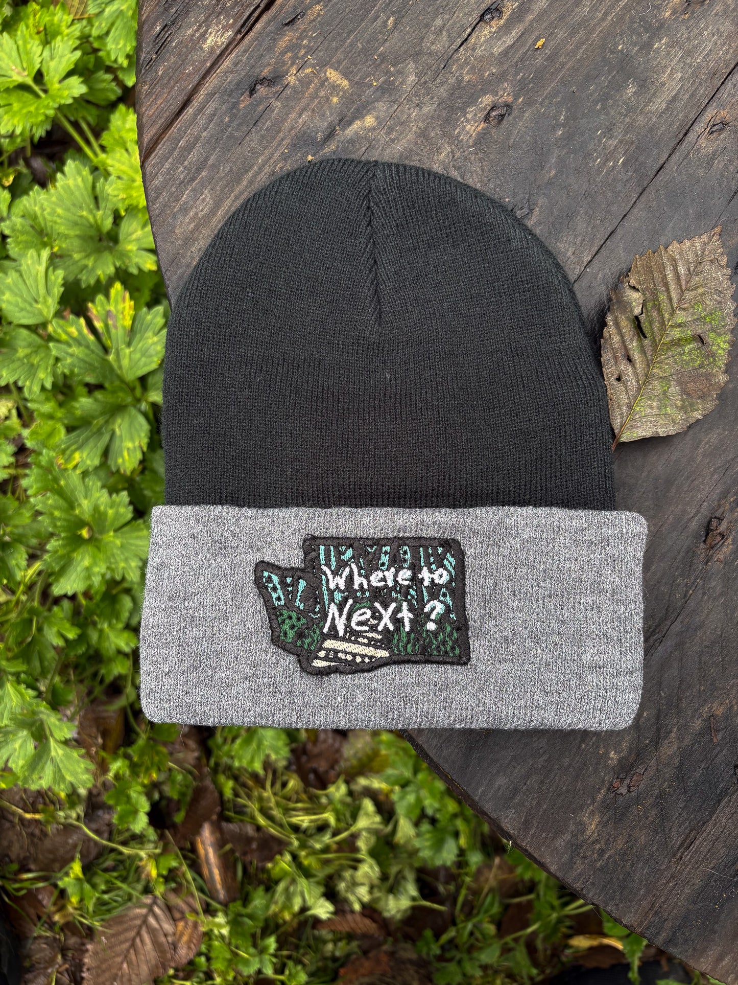 Where To Next - Beanies