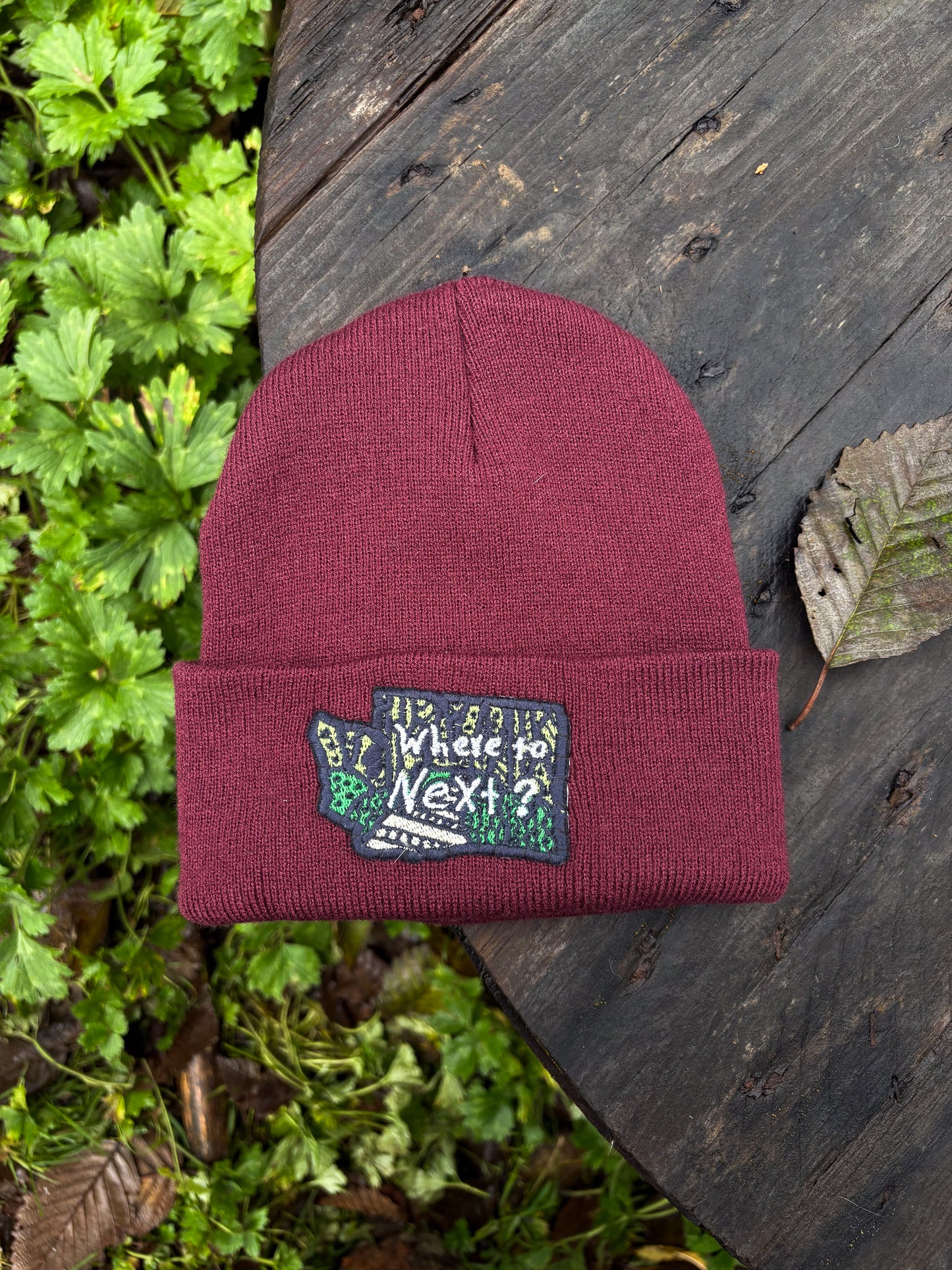 Where To Next - Beanies
