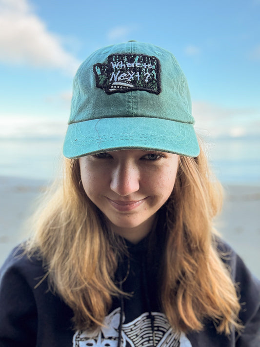 Where to Next -  Adams Cap