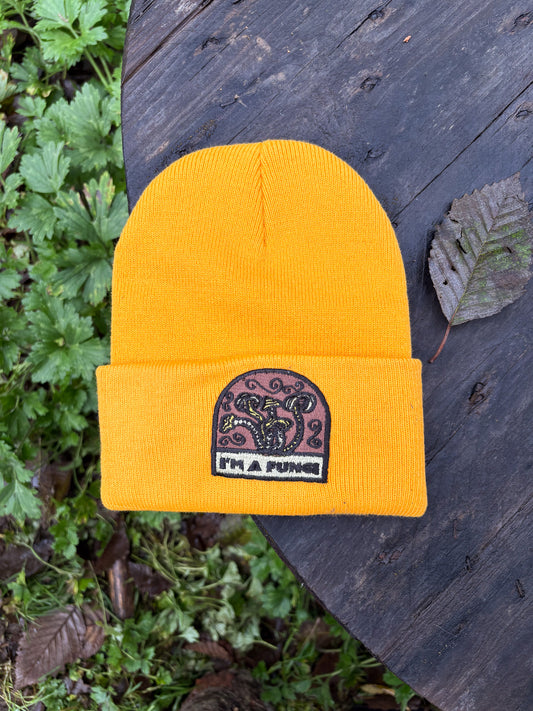 I'm A Fungi - Port & Company Beanie