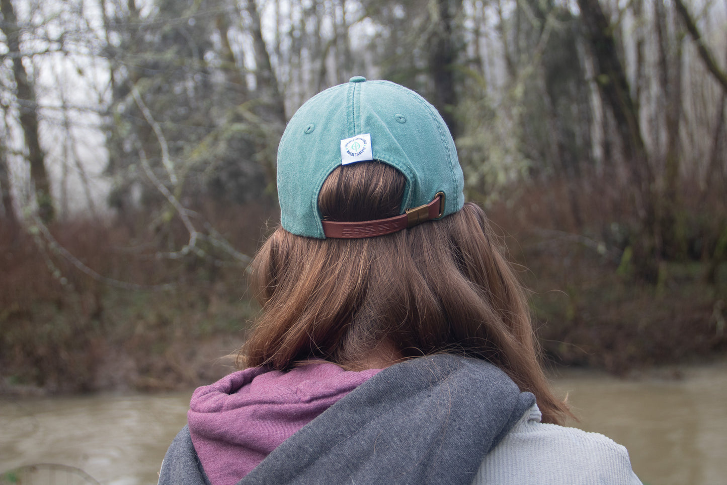Raccoon - Adams Cap