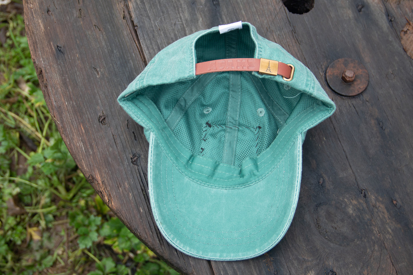Raccoon - Adams Cap