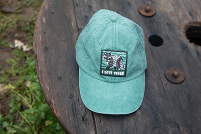 Raccoon - Adams Cap