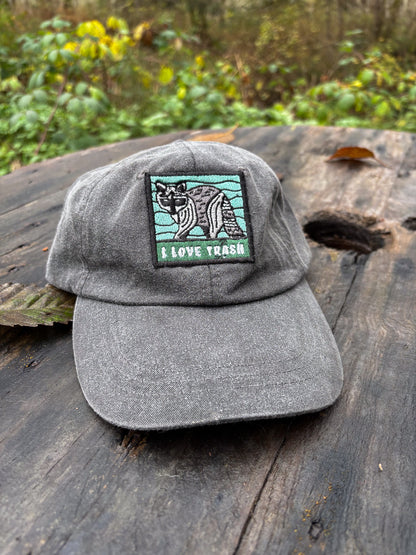 Raccoon - Adams Cap