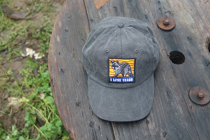 Raccoon - Adams Cap