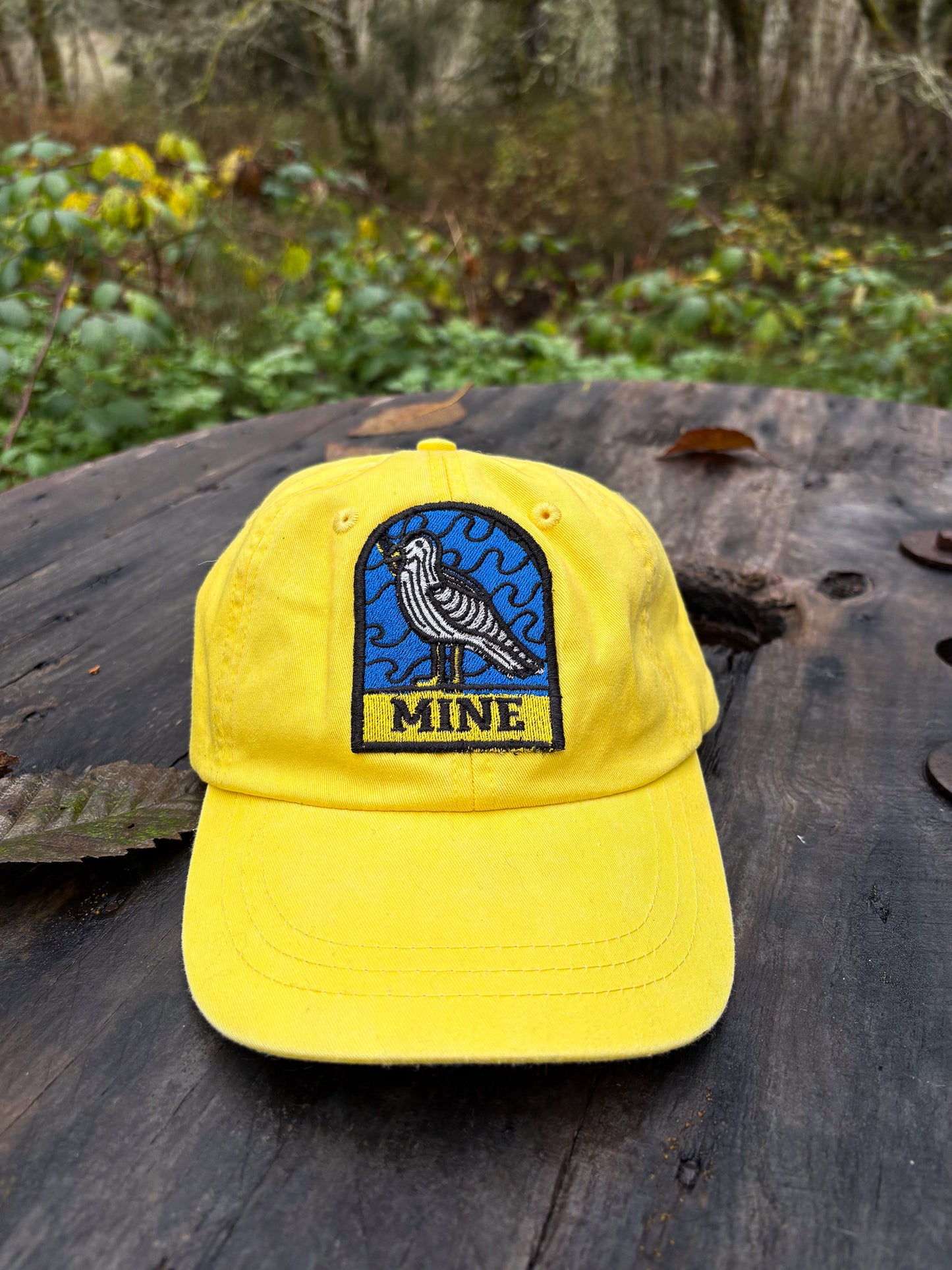 Seagull - Adams Cap