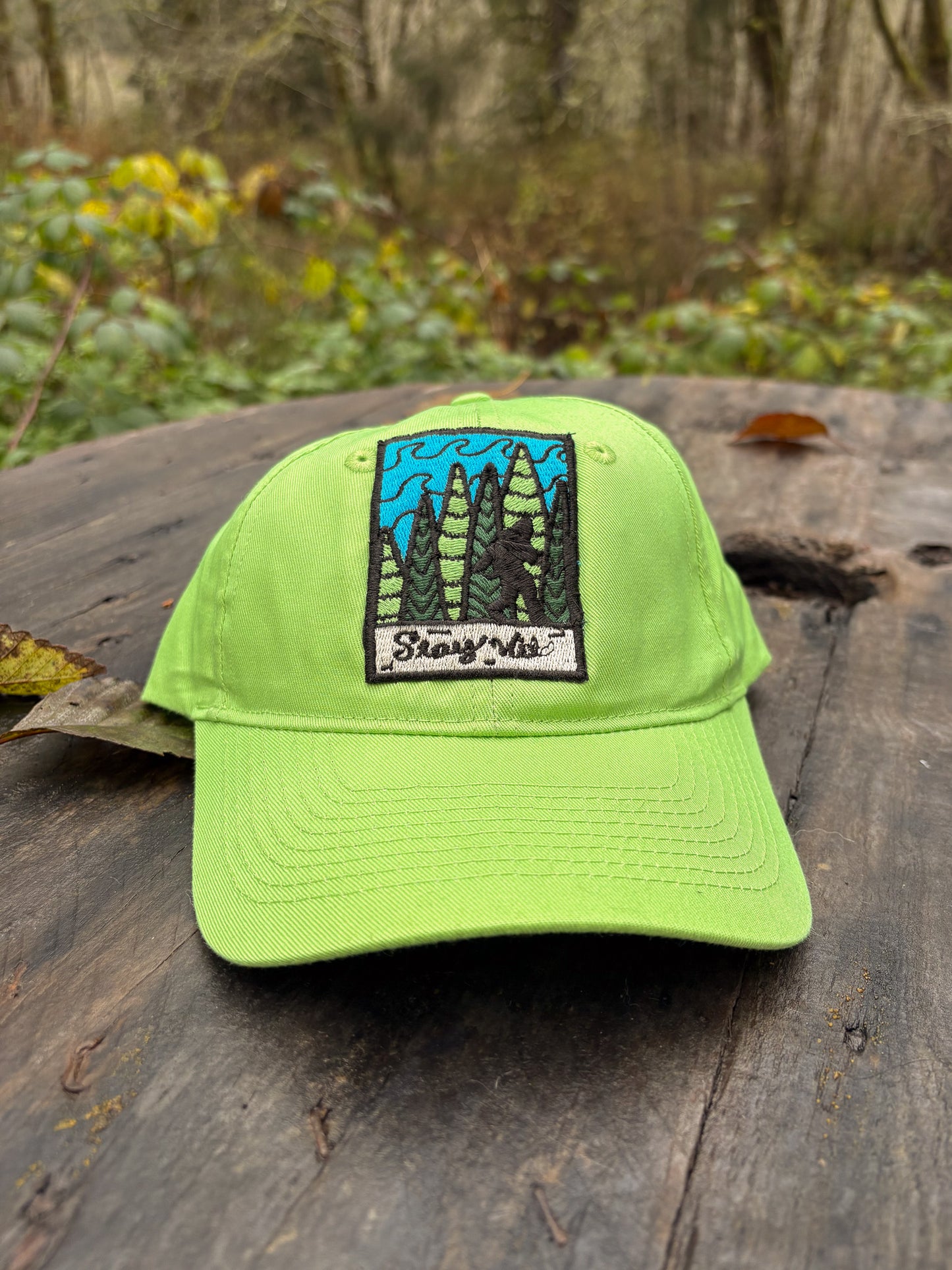Stay Wild -  Port & Company Cap