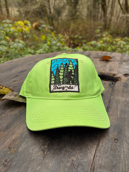Stay Wild -  Port & Company Cap